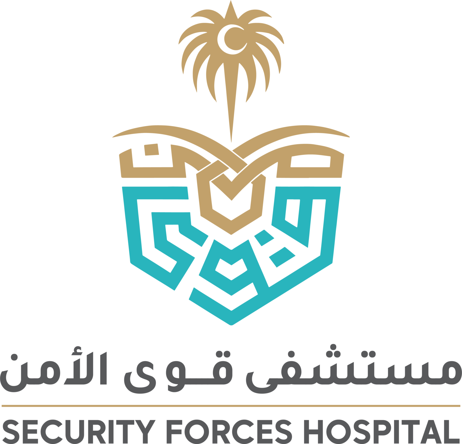 مستشفى قوى الأمن